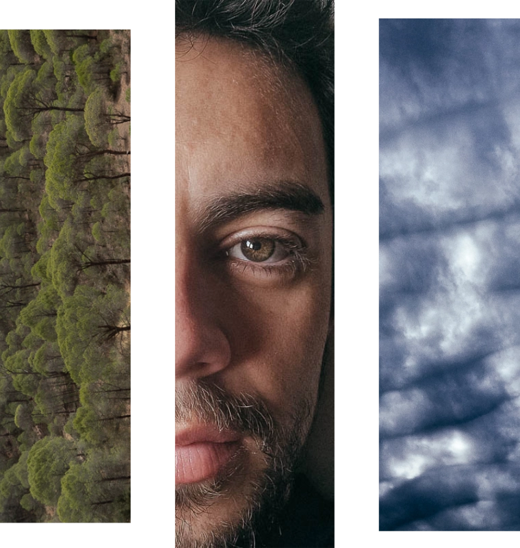 Tríptico: pinar visto desde arriba, mi rostro y un cielo de nubes